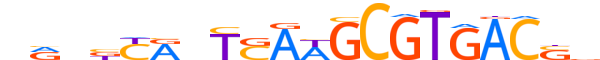 PAX8.H13RSNP.0.PSM.A motif logo (PAX8 gene, PAX8_HUMAN protein)