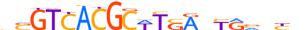 PAX8.H13RSNP.0.PSM.A reverse-complement motif logo (PAX8 gene, PAX8_HUMAN protein)