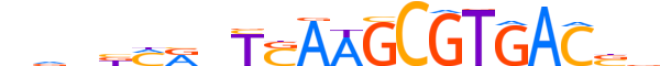 PAX9.H13RSNP.0.SM.B motif logo (PAX9 gene, PAX9_HUMAN protein)