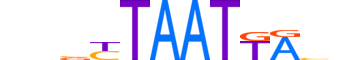 PDX1.H13RSNP.1.PSM.A motif logo (PDX1 gene, PDX1_HUMAN protein)