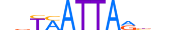 PDX1.H13RSNP.1.PSM.A reverse-complement motif logo (PDX1 gene, PDX1_HUMAN protein)