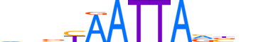 PHX2A.H13RSNP.1.SM.D motif logo (PHOX2A gene, PHX2A_HUMAN protein)