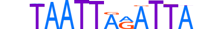 PHX2B.H13RSNP.0.PSM.D motif logo (PHOX2B gene, PHX2B_HUMAN protein)