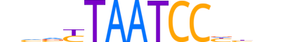 PITX2.H13RSNP.0.SM.B reverse-complement motif logo (PITX2 gene, PITX2_HUMAN protein)