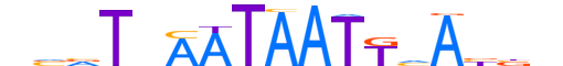PO4F3.H13RSNP.0.SM.D motif logo (POU4F3 gene, PO4F3_HUMAN protein)