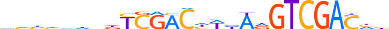 POGK.H13RSNP.0.SI.D motif logo (POGK gene, POGK_HUMAN protein)