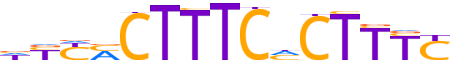PRDM1.H13RSNP.1.PS.A reverse-complement motif logo (PRDM1 gene, PRDM1_HUMAN protein)