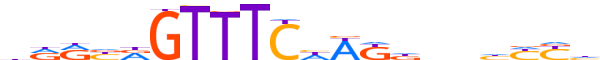 PRDM4.H13RSNP.0.PSM.D motif logo (PRDM4 gene, PRDM4_HUMAN protein)