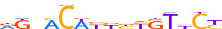 PRGR.H13RSNP.0.P.B motif logo (PGR gene, PRGR_HUMAN protein)