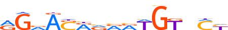 PRGR.H13RSNP.0.P.B reverse-complement motif logo (PGR gene, PRGR_HUMAN protein)