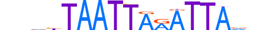 PROP1.H13RSNP.0.PSM.A motif logo (PROP1 gene, PROP1_HUMAN protein)