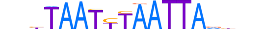 PROP1.H13RSNP.0.PSM.A reverse-complement motif logo (PROP1 gene, PROP1_HUMAN protein)