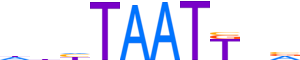 PROP1.H13RSNP.1.P.C reverse-complement motif logo (PROP1 gene, PROP1_HUMAN protein)