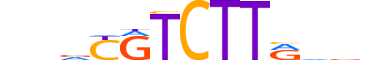 PROX1.H13RSNP.0.SM.D motif logo (PROX1 gene, PROX1_HUMAN protein)