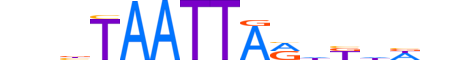 PRRX2.H13RSNP.0.SM.B motif logo (PRRX2 gene, PRRX2_HUMAN protein)