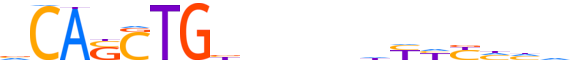 PTF1A.H13RSNP.0.P.D motif logo (PTF1A gene, PTF1A_HUMAN protein)