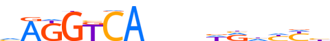 RARA.H13RSNP.2.P.B motif logo (RARA gene, RARA_HUMAN protein)