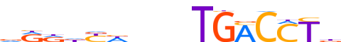 RARA.H13RSNP.2.P.B reverse-complement motif logo (RARA gene, RARA_HUMAN protein)