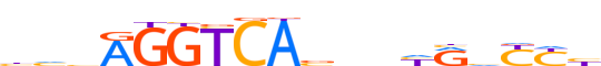 RARG.H13RSNP.0.P.B motif logo (RARG gene, RARG_HUMAN protein)