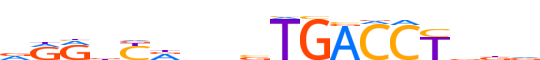 RARG.H13RSNP.0.P.B reverse-complement motif logo (RARG gene, RARG_HUMAN protein)