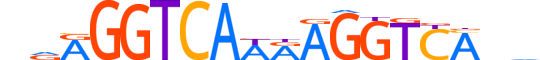 RARG.H13RSNP.3.S.B motif logo (RARG gene, RARG_HUMAN protein)