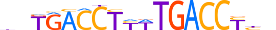 RARG.H13RSNP.3.S.B reverse-complement motif logo (RARG gene, RARG_HUMAN protein)