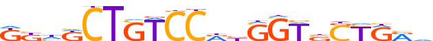 REST.H13RSNP.0.P.B reverse-complement motif logo (REST gene, REST_HUMAN protein)