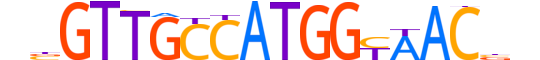 RFX1.H13RSNP.1.PSM.A motif logo (RFX1 gene, RFX1_HUMAN protein)