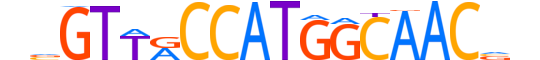 RFX1.H13RSNP.1.PSM.A reverse-complement motif logo (RFX1 gene, RFX1_HUMAN protein)