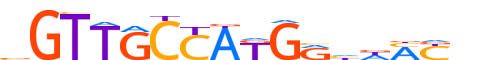 RFX4.H13RSNP.0.SM.D motif logo (RFX4 gene, RFX4_HUMAN protein)