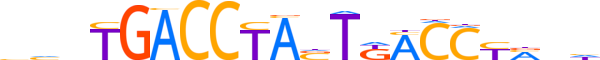 RORG.H13RSNP.0.M.D reverse-complement motif logo (RORC gene, RORG_HUMAN protein)