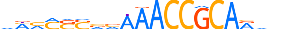 RUNX3.H13RSNP.1.S.B reverse-complement motif logo (RUNX3 gene, RUNX3_HUMAN protein)