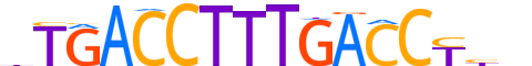 RXRA.H13RSNP.2.SM.B reverse-complement motif logo (RXRA gene, RXRA_HUMAN protein)