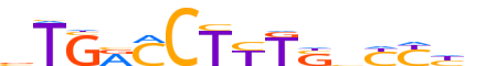 RXRB.H13RSNP.0.P.C reverse-complement motif logo (RXRB gene, RXRB_HUMAN protein)