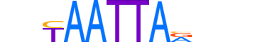 SHOX.H13RSNP.1.S.B reverse-complement motif logo (SHOX gene, SHOX_HUMAN protein)