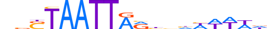 SHOX2.H13RSNP.0.S.D reverse-complement motif logo (SHOX2 gene, SHOX2_HUMAN protein)