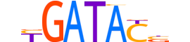 SIX1.H13RSNP.1.SM.B motif logo (SIX1 gene, SIX1_HUMAN protein)