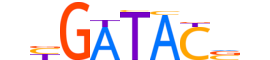 SIX2.H13RSNP.2.SM.B motif logo (SIX2 gene, SIX2_HUMAN protein)