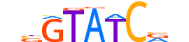 SIX2.H13RSNP.2.SM.B reverse-complement motif logo (SIX2 gene, SIX2_HUMAN protein)