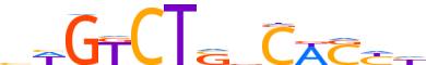 SMAD4.H13RSNP.1.P.D motif logo (SMAD4 gene, SMAD4_HUMAN protein)