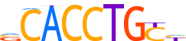 SNAI1.H13RSNP.0.PSM.A reverse-complement motif logo (SNAI1 gene, SNAI1_HUMAN protein)