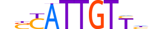 SOX10.H13RSNP.1.PSM.A motif logo (SOX10 gene, SOX10_HUMAN protein)