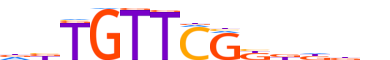 SOX10.H13RSNP.2.S.C motif logo (SOX10 gene, SOX10_HUMAN protein)