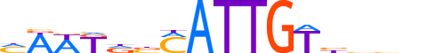 SOX3.H13RSNP.1.S.C motif logo (SOX3 gene, SOX3_HUMAN protein)