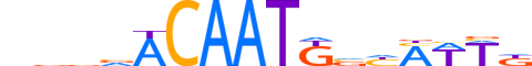 SOX3.H13RSNP.1.S.C reverse-complement motif logo (SOX3 gene, SOX3_HUMAN protein)