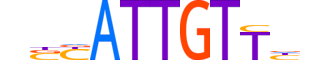 SOX30.H13RSNP.1.SM.B motif logo (SOX30 gene, SOX30_HUMAN protein)