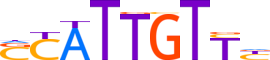 SOX5.H13RSNP.0.P.D motif logo (SOX5 gene, SOX5_HUMAN protein)