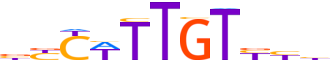 SOX8.H13RSNP.1.PS.A motif logo (SOX8 gene, SOX8_HUMAN protein)