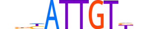 SOX9.H13RSNP.1.PS.A motif logo (SOX9 gene, SOX9_HUMAN protein)