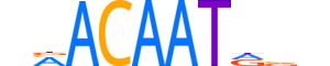 SOX9.H13RSNP.1.PS.A reverse-complement motif logo (SOX9 gene, SOX9_HUMAN protein)